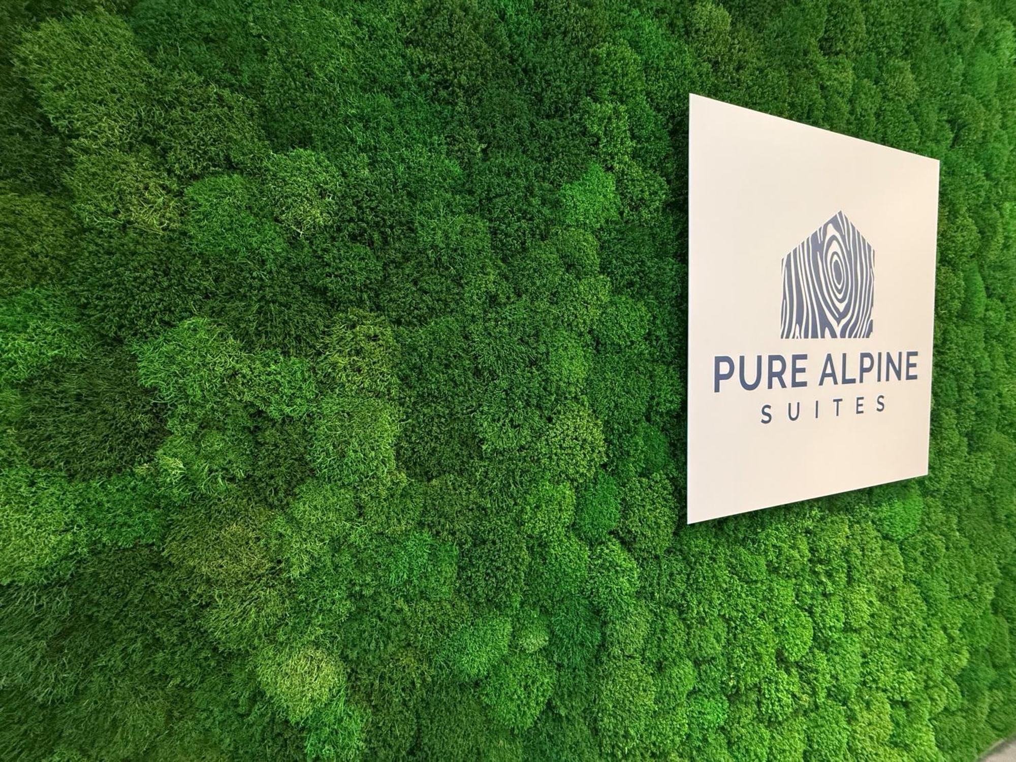 Pure Alpine Suites Schladming Exterior photo
